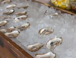 CUA_JUNE 26_22_Social Media\_F8A7963-2.jpg