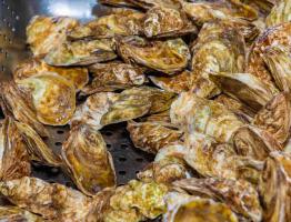 CUA_JUNE 26_22_Social Media\_F8A7966-2.jpg