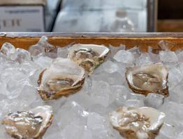 CUA_JUNE 26_22_Social Media\_F8A7969-2.jpg